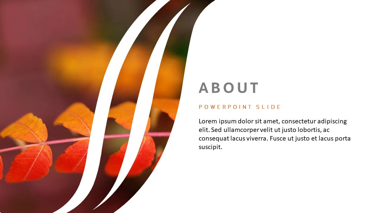 Template PowerPoint Profissional Nº5 - 3 Slides Modernos