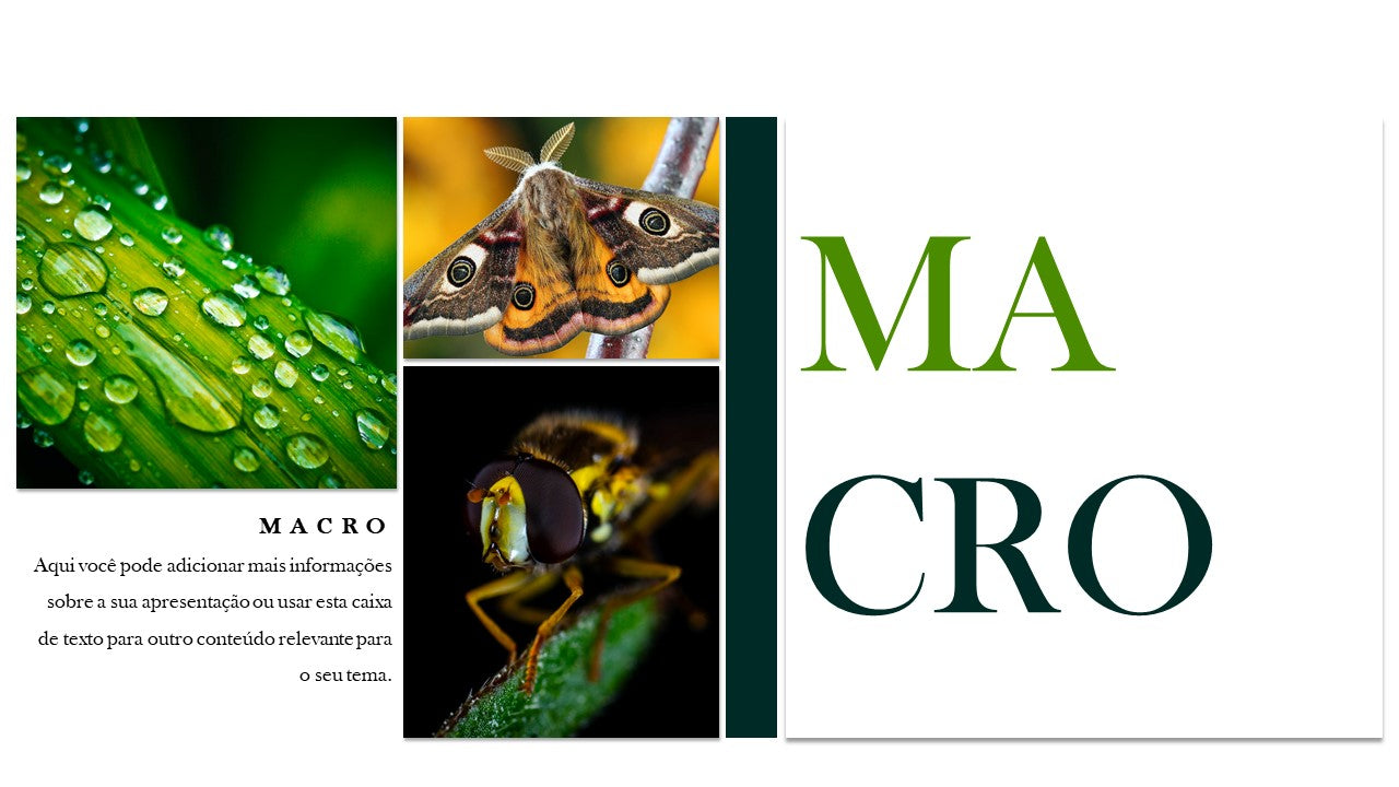 Template PowerPoint Portfólio Fotografia - 30 Slides Profissionais Multiusos
