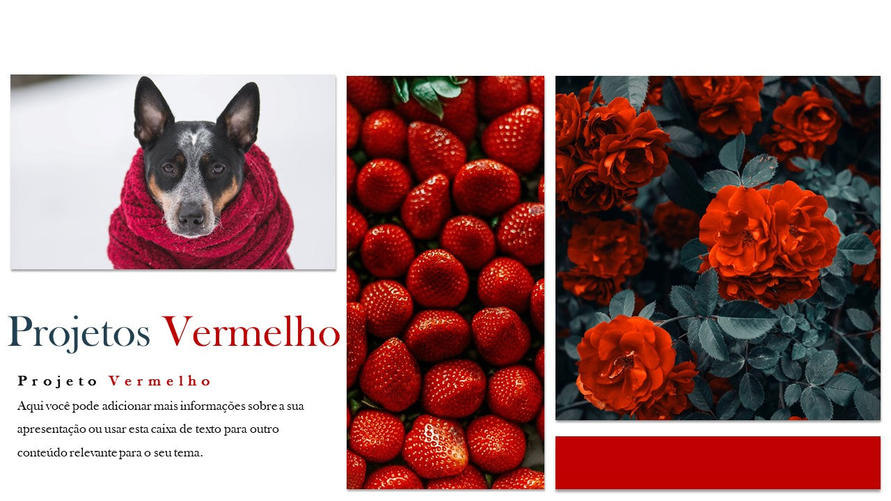 Template PowerPoint Portfólio Fotografia - 30 Slides Profissionais Multiusos